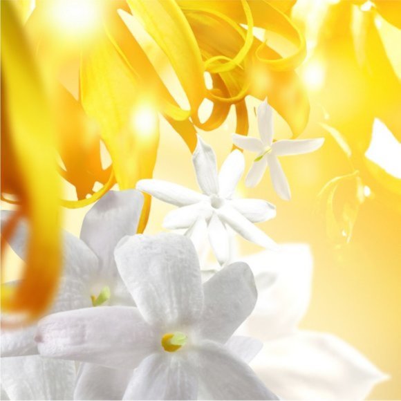 Bvlgari Omnia Golden Citrine, Floral, Luminous, Ylang, NEW - Mini - Picture 5 of 9